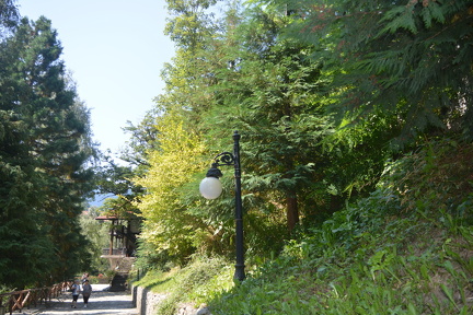 DSC 0472