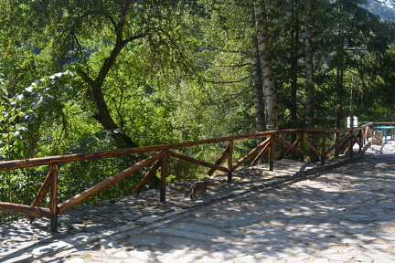 DSC 0474