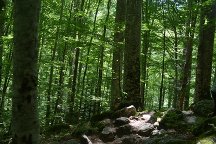 DSC 0504