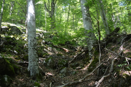 DSC 0505