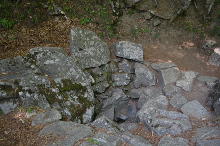 DSC 0510