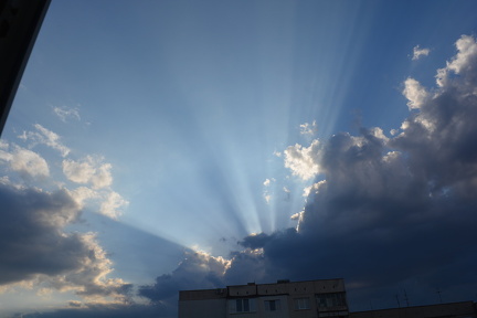 DSC 0515