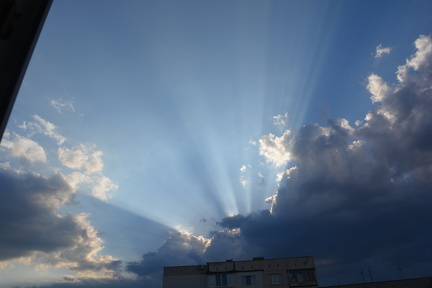 DSC 0516